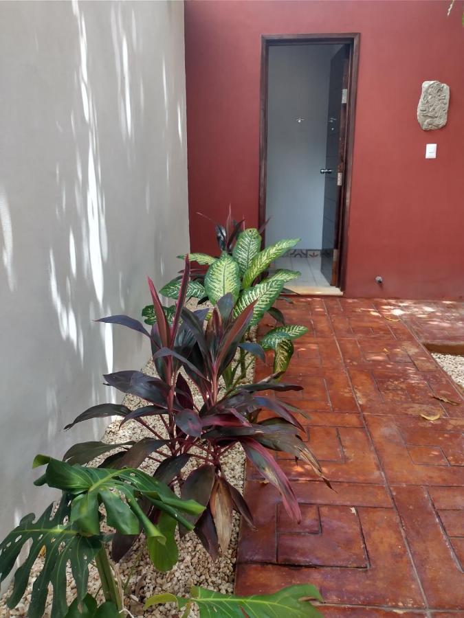 Casa Nicte-Ha Valladolid Valladolid  Ngoại thất bức ảnh