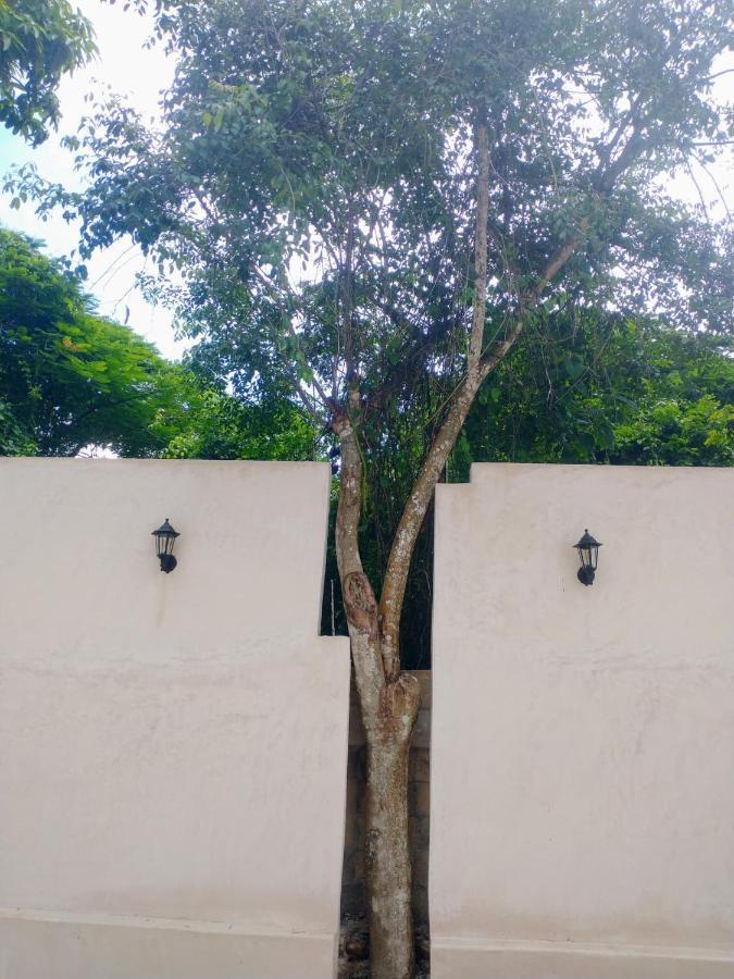 Casa Nicte-Ha Valladolid Valladolid  Ngoại thất bức ảnh
